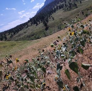 Meet your Posher, Jacob